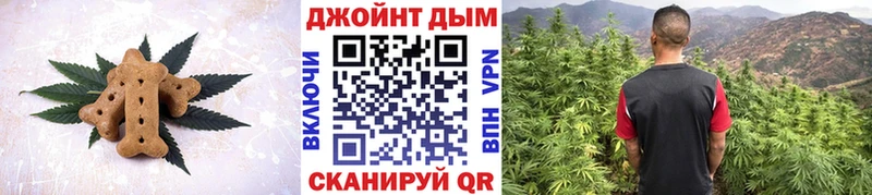купить наркоту  MEGA вход  Печенье с ТГК марихуана  Выборг 